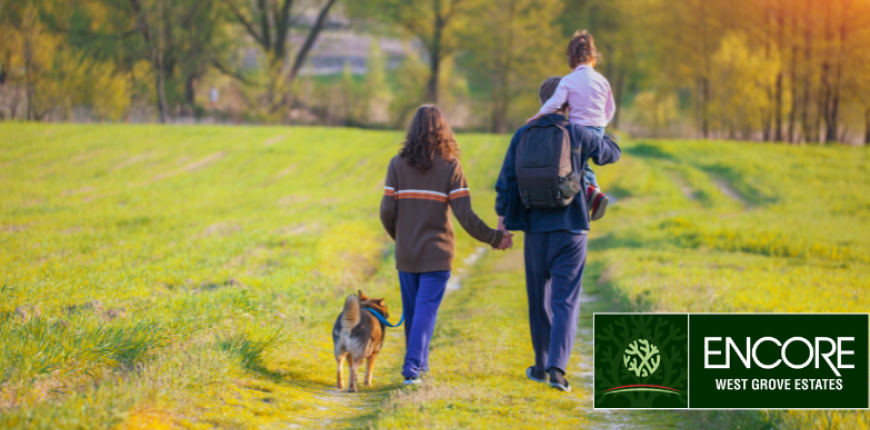 What to Know Before Moving to West Springs: A Newcomer’s Guide