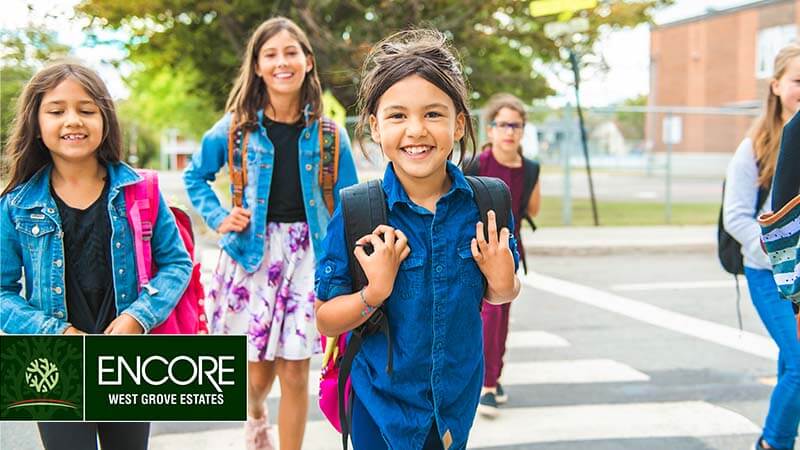 Schools Near Homes In Calgary's West Groves Estates  