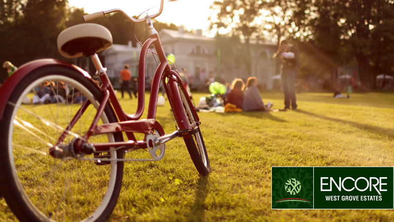 Top Recreational Activities Near Calgary’s West Grove Community