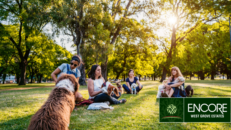 Why Location Still Matters: The Lasting Value of Southwest Calgary Real Estate 